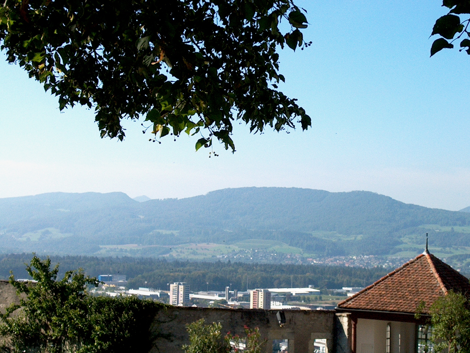 20-Jahre Jubiläum - Visita Treuhand AG - Abacus - Treuhand - Treuhänder in Lenzburg - Buchführung - Administration - Jahresrechnung - Steuern - Beratung - Schweiz